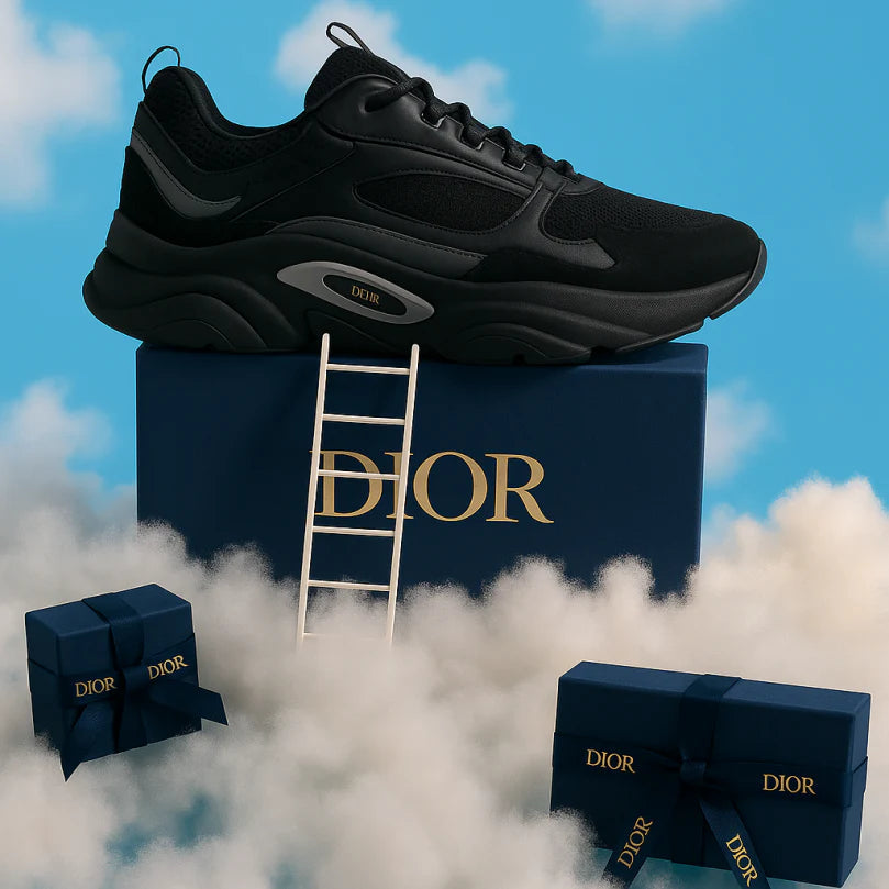 DIOR B22