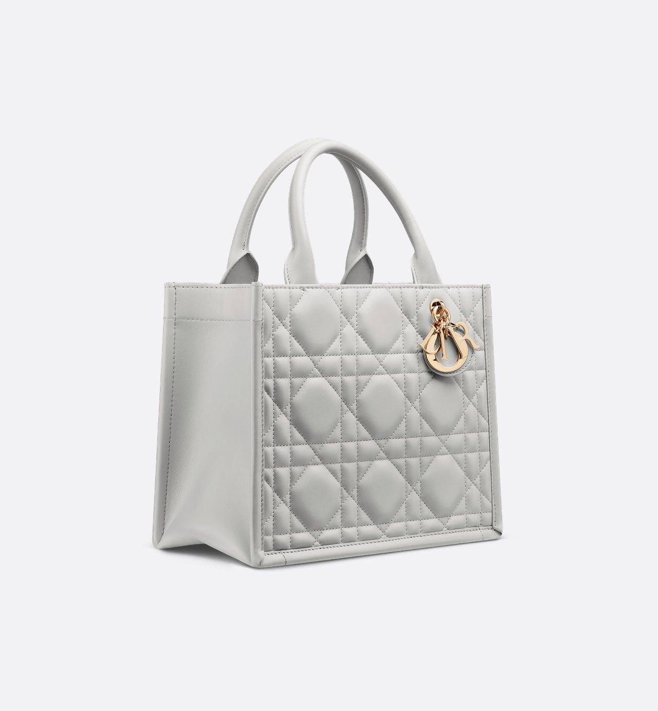 Sac Dior Book Tote Small