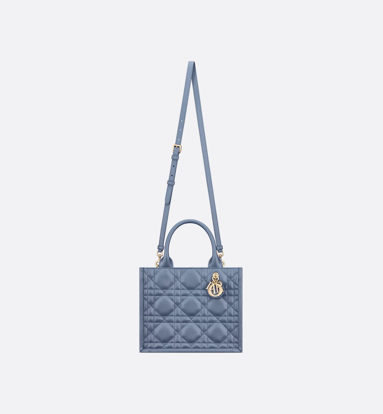 Sac Dior Book Tote Small