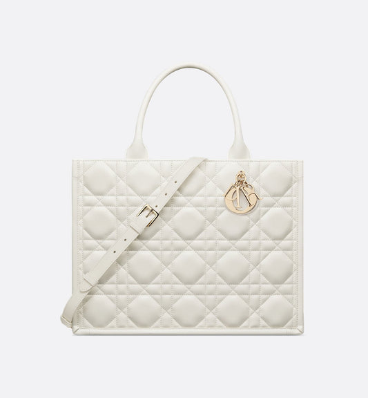 Sac Dior Book Tote Medium