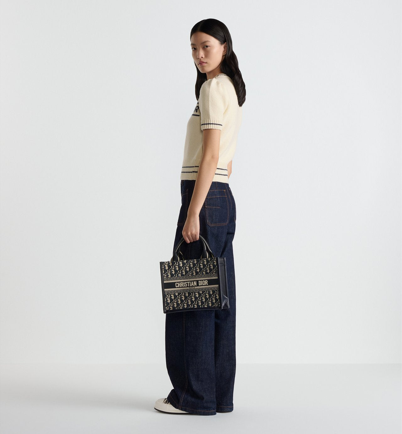 Sac Dior Book Tote Small