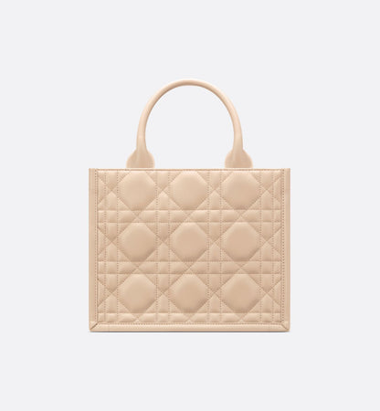 Sac Dior Book Tote Small
